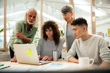 Wall Mural - Group of coworkers working together on project on laptop