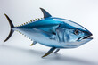 Bluefin tuna illustration on white background
