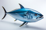 Fototapeta  - Bluefin tuna illustration on white background