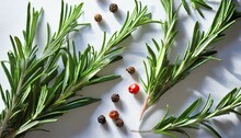 Fresh Green Organic Rosemary Leaves And Peper On White Background Background And Natural Shadow Ingredient Spice For Cooking Collection For Design