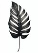 closeup leaf acrylic studio palms medium black pencil princess painted metal lustful vegetation