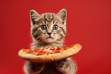 A Small Kitten With A Big Pizza In Its Paws On A Red Background.