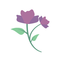 Poster - purple flower illustration