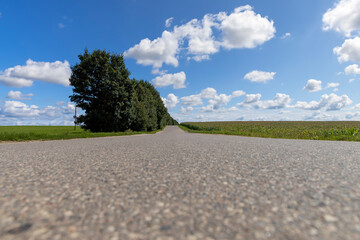 Wall Mural - paved road in sunny weather