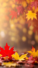 web banner design for autumn season and end-year activity with red and yellow maple leaves with soft focus light and bokeh background, copy space	