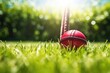 A cricket red ball on the grass. Cricket bat and a red ball on the ground. Red cricket ball on the grass in sunny sunrays and green beautiful grass. Shining weather nature.