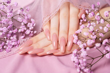 Female hands with pink nail design  hold gypsophila flowers.