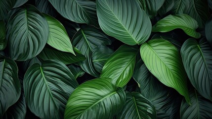 Natures Green Leaf Texture. Generative AI