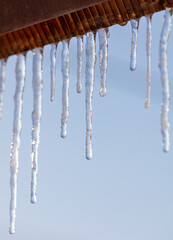 Wall Mural - Icicles hang from the roof against the blue sky