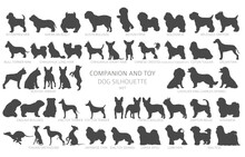 Dog Breeds Silhouettes, Simple Style Clipart. Companion And Toy Dogs Collection