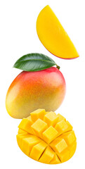 Sticker - Mango collection isolated on white background. Fresh mango leaf. Clipping path mango. Mango macro studio photo.