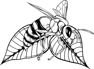 Sticker - illustration of Bee outline black and white