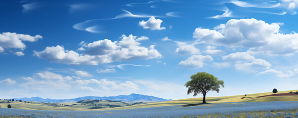 Beautiful Summer Valley Landscape with blue flowers ans sky In The Morning, baner landscape