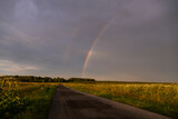 Fototapeta Tęcza - Rainbow over a field road in summer