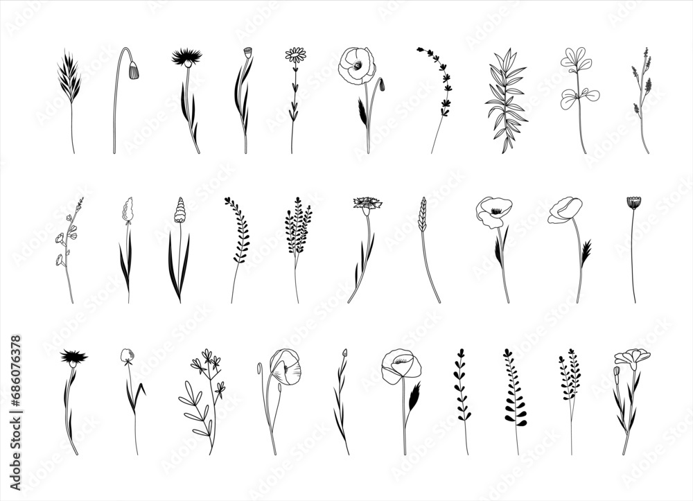 Botanical abstract line arts, wildflowers line art drawing, hand drawn ...