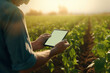 Man engaged in research or agriculture on tablet on farm to analyze sustainability, production or industry development.farmer in rural field to check weather.technology in agriculture.generative ai
