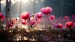 Serene Dawn Light Bathes Pink Lotus Pond in a Mesmerizing Dance of Elegance