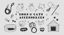 Various Pet Accessories Set. Vector Hand Drawn Linear Illustration. All Elements Are Isolated.