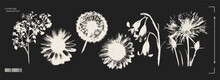 Trendy Elements With A Retro Photocopy Effect. Y2k Elements For Design. Flowers, Chamomile, Sunflower, Dandelion. Grain Effect And Stippling. Vector Dots Texture.