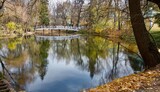 Fototapeta Natura - Humpbacked bridge. Upper pond of the estate. Museum-Reserve A.S. Pushkin 