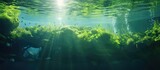 Fototapeta Do akwarium - Submerged underwater with sunlit green backdrop.