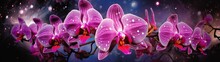 The Radiant Speckles On An Orchid, Each A Tiny Galaxy In A Universe Contained Within The Boundaries Of Its Blossoms.
