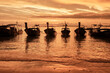 Longtail boats mooring at shores of Railay Beach at sunset in Thailand.