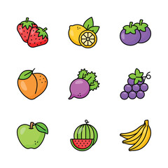 Wall Mural - Fruit and vegetable icons set in modern style, ready to use vector