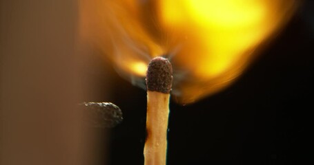 Wall Mural - match, fire and orange flame on black background for heat, light and lighting wood in dark studio. i