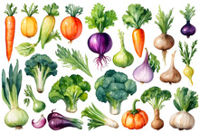 Set Of Watercolor Vegetables Isolated On Transparent Background
