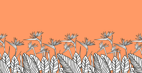 Wall Mural - Bird of paradise flower, line art tropical strelitzia floral seamless boarder black and white and orange color.  background for prints, fabric, wallpapers, wrapping paper, poster, card