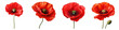 Poppy clipart collection, vector, icons isolated on transparent background