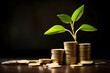 Growth Investment, investing, illustration, coin, stack, sustainable finance and green finance, symbolizing growth, money