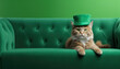 Cat with hat on green sofa, concept St.Patrick 's Day