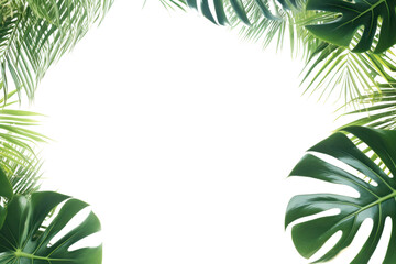 Wall Mural - Tropical plant. Exotic monstera leaves blowing in the wind. On a transparent background, isolated, with space left for text.