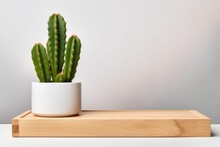 Small Spiked Cactus In White Pot On Wood Desk, Gray Background, Copy Space