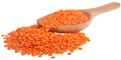 Sticker - Some fresh red lentil