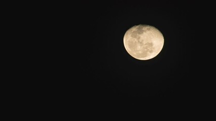 Wall Mural - Timelapse Lockdown Of A Bright Full Moon Rising Against A Dark Night Sky - Miami, Florida