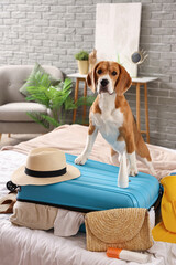 Wall Mural - Cute Beagle dog and suitcase with beach accessories in bedroom