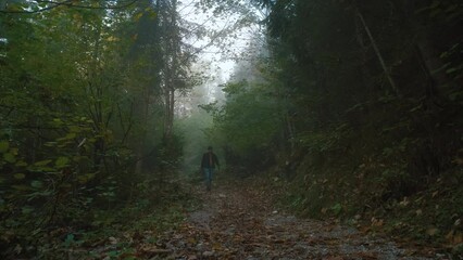 Wall Mural - Man traveler walks through the forest to the mountains. Incredibly beautiful views in the Alpine mountains. Hiking route in the Alps mountains in autumn