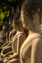 Sitting Buddhas In Wat Tai Chai Mongkhon