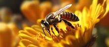 Bee On A Yellow Flower, Macro Photography Of Bee On Yellow Flower