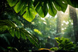 jungle rainforest vibe