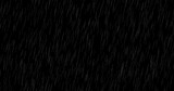 Fototapeta  - Cinematic Realistic rainfall animation overlay background. Heavy rain storm seamless loop animation. Surreal raindrops falling thunderstorm overlay. Raindrops on black bg.