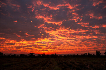 Wall Mural - Beautiful sunset in the countryside of Thailand. Beautiful sky background.