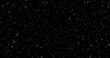 © PhoenixStock - Cinematic snowfall loop animation of a surreal realistic snowflake falling bg. Snowfall winter overlay slowly falls on a black backdrop. Snowflake for Christmas new year 2024,2025.