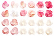 © mustak - Set of white and pink rose petals. generative ai.