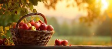 Autumn Sunset With Apples In Wooden Basket On Table - A Harvest Scene.