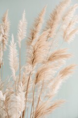 Poster - Golden ears of wheat or cereals on a light gray background. Minimalism, Empty space for advertising and labels, background for the display.