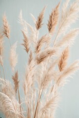 Poster - Golden ears of wheat or cereals on a light gray background. Minimalism, Empty space for advertising and labels, background for the display.